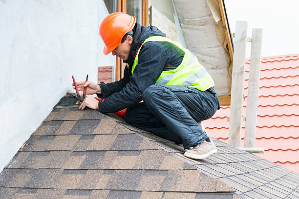 Best Roof Gutter Cleaning  in East Basin, UT